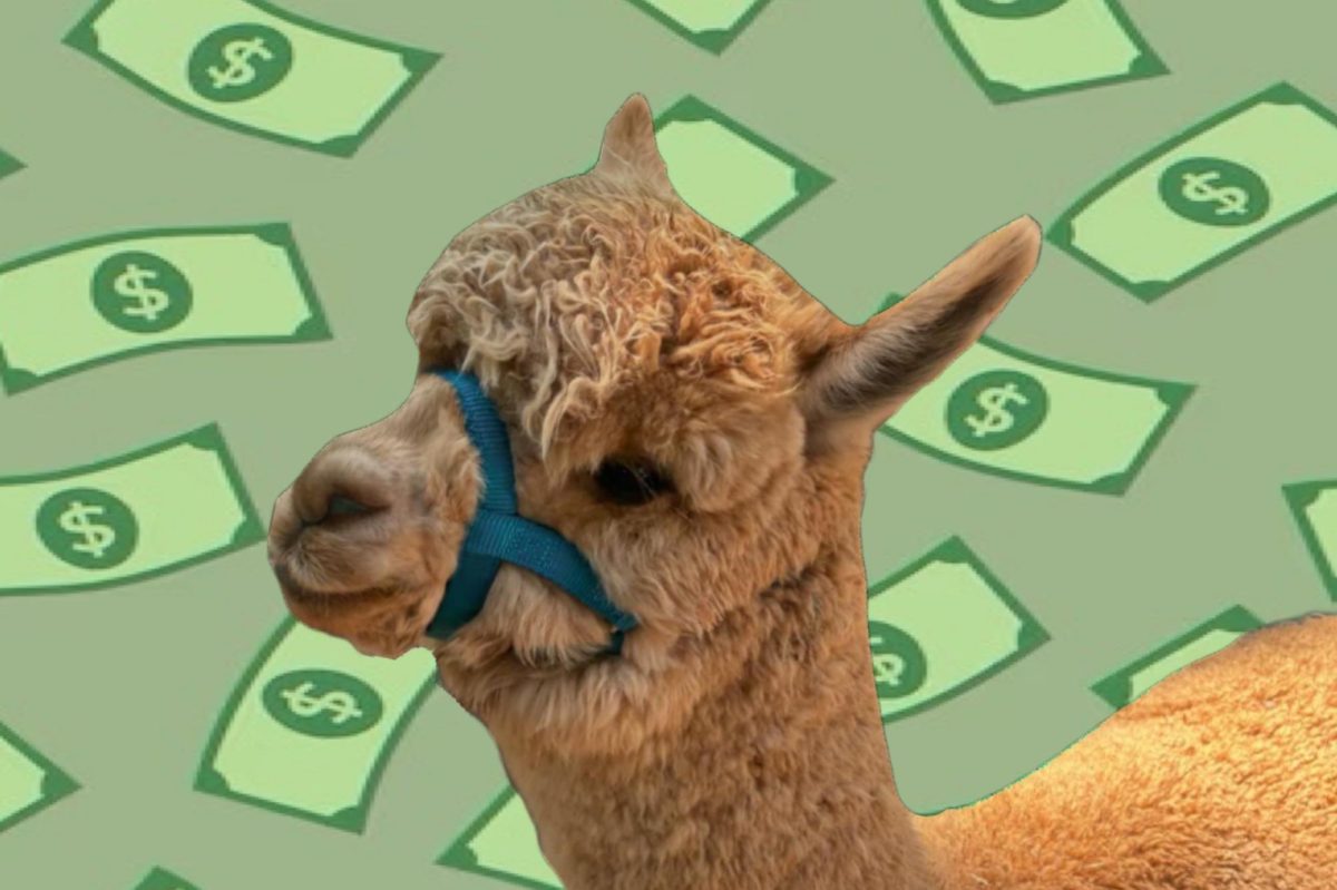 Billion+Dolla+Llama%3A+Guess+who+encouraged+hundreds+of+seniors+to+complete+the+FAFSA%3F+This+guy%21