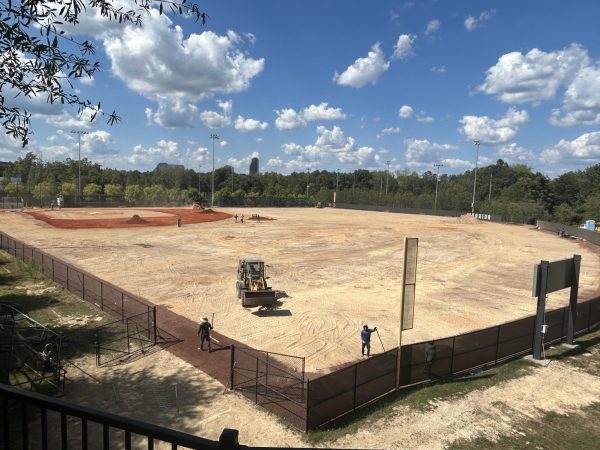 Construction workers bake in the sun as they bring to life the new baseball vision. 