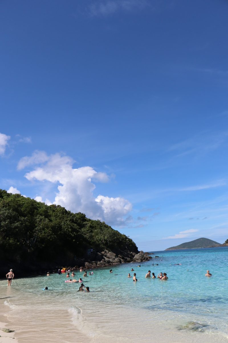 Fun in the Sun: The beautiful view of the ocean from Zoe Piernik's trip to the US Virgin Islands.
